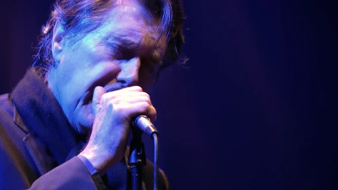 图片[4]-布莱恩·费瑞 – 法国里昂演唱会 Bryan Ferry – Live in Lyon.2011《BDMV 36.4G》-蓝光演唱会资源网
