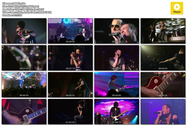图片[8]-石庙向导乐队 2010风城演唱会现场 Stone Temple Pilots.Alive in the Windy City.2010《BDMV 21.8G》-蓝光演唱会资源网