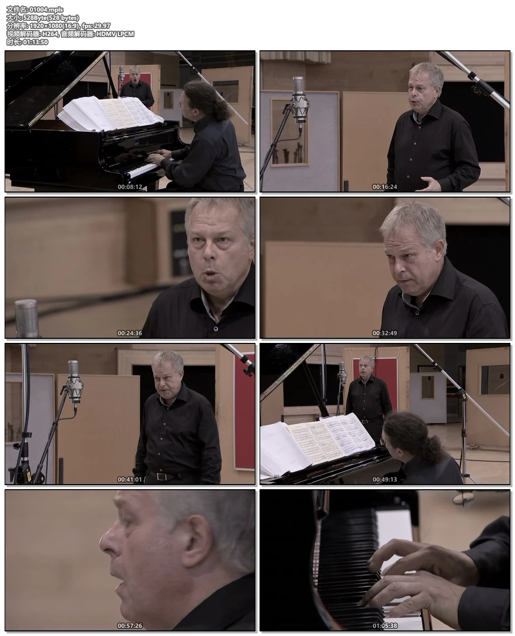 图片[6]-Franz Schubert – Winterreise – Christoph Prégardien, Michael Gees 2013《BDMV 23.2GB》-蓝光演唱会资源网