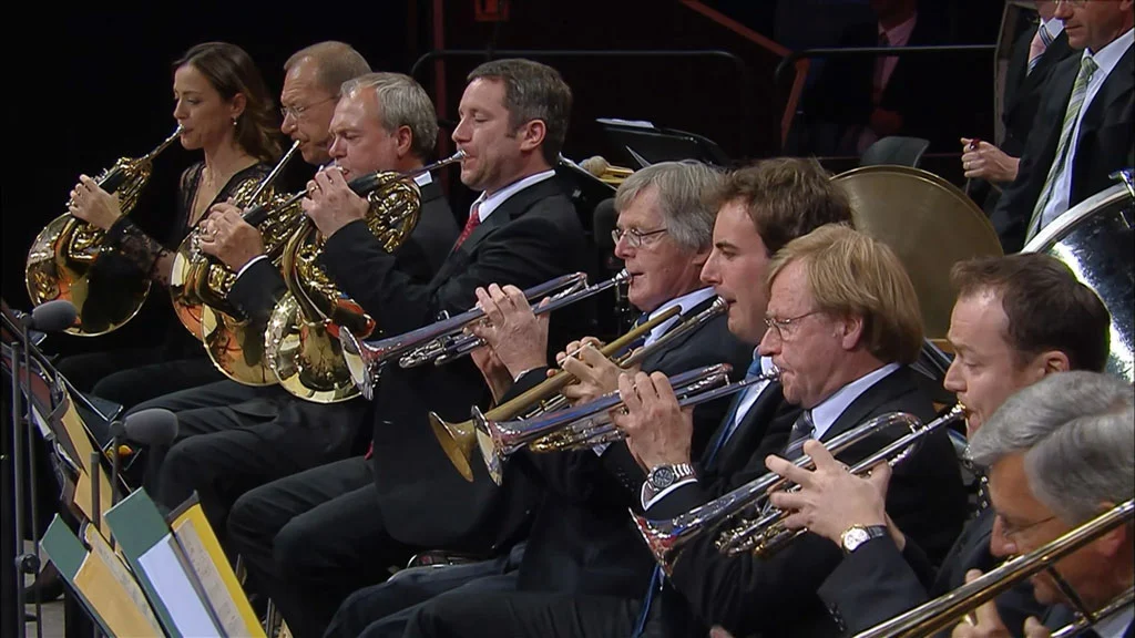 图片[4]-芮妮·弗莱明 Renee Fleming – Waldbuhne 2010《BDMV 20.2G》-蓝光演唱会资源网