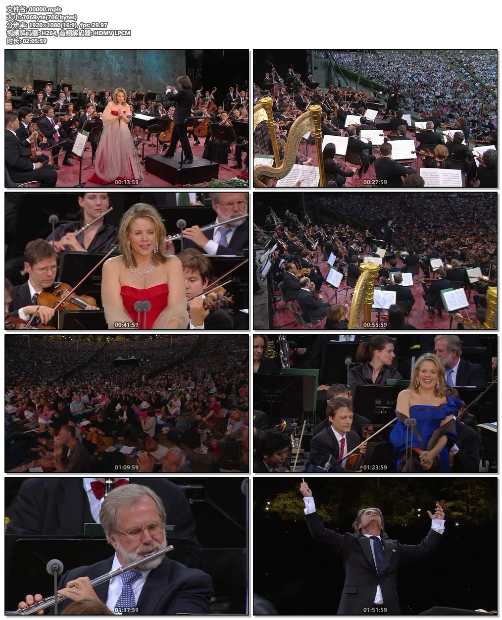 图片[6]-芮妮·弗莱明 Renee Fleming – Waldbuhne 2010《BDMV 20.2G》-蓝光演唱会资源网
