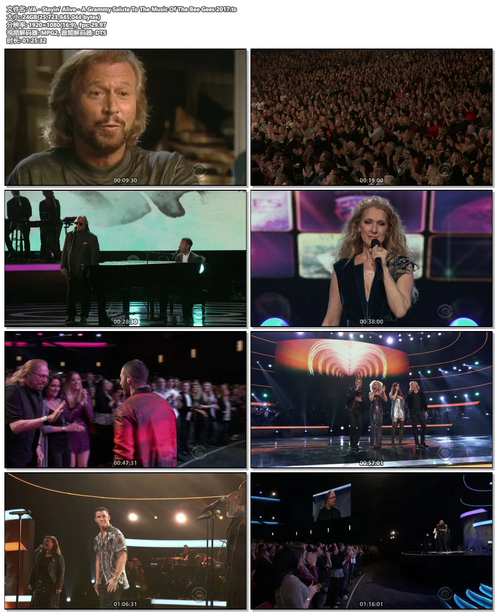 图片[4]-VA – Stayin\’ Alive – A Grammy Salute To The Music Of The Bee Gees 2017《HDTV TS 23.9G》-蓝光演唱会资源网