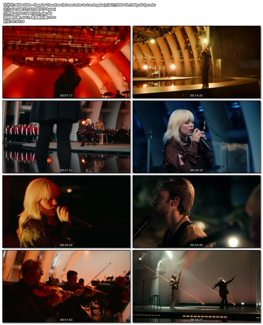 图片[5]-比莉·艾利什 Billie Eilish – Happier Than Ever (A Love Letter to Los Angeles) 2021《WEB-DL MKV 14.1G》-蓝光演唱会资源网