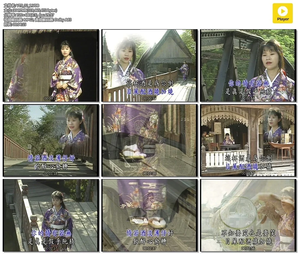 詹雅雯 – 日本大阪京都之旅[KTV][2DVD-ISO][6.74G]-蓝光演唱会资源网