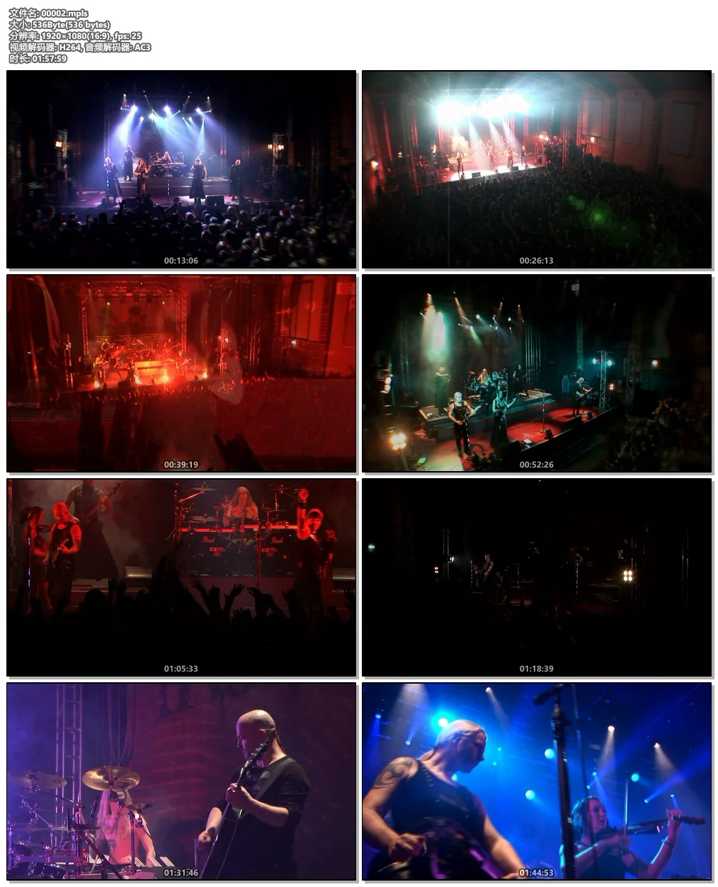 图片[6]-Subway to Sally Schlachthof Bastard Tour 2008《BDMV 21.7G》-蓝光演唱会资源网
