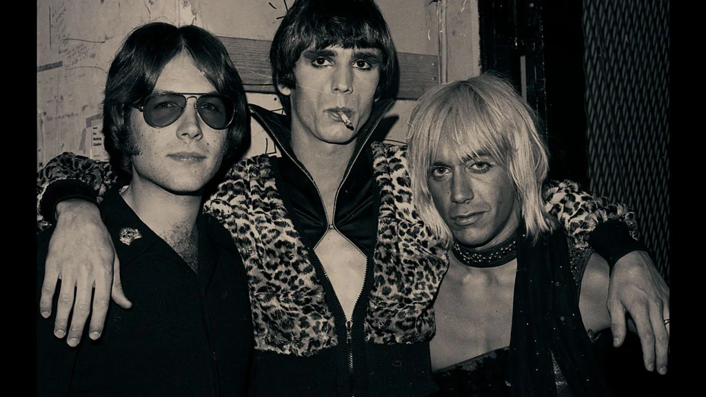 图片[5]-Gimme Danger 音乐纪录片 Gimme Danger – The Story of the Stooges 2016《BDMV 22G》-蓝光演唱会资源网