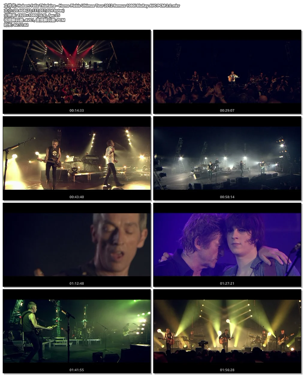 图片[5]-Hubert-Felix Thiefaine – Homo Plebis Ultimae Tour 2012《Remux MKV 20.06G》-蓝光演唱会资源网
