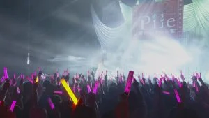 图片[4]-Pile 2015 Pinky Parade Tour ディファ有明公演《ISO 22.07GB》-蓝光演唱会资源网