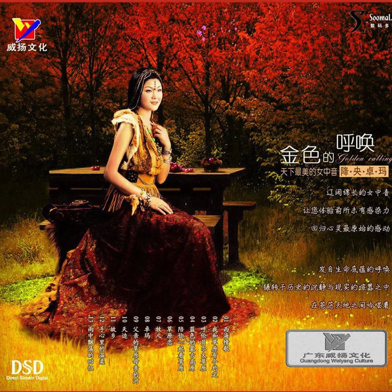降央卓玛 – 金色的呼唤（DVD ISO 4.06G）-蓝光演唱会资源网