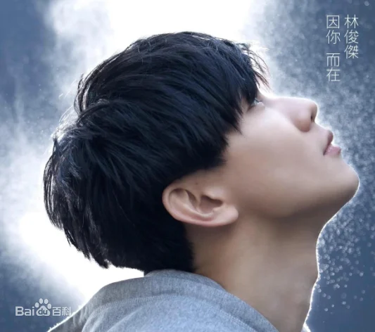 林俊杰 因你而在 台版MV（DVD ISO 3.05G）-蓝光演唱会资源网