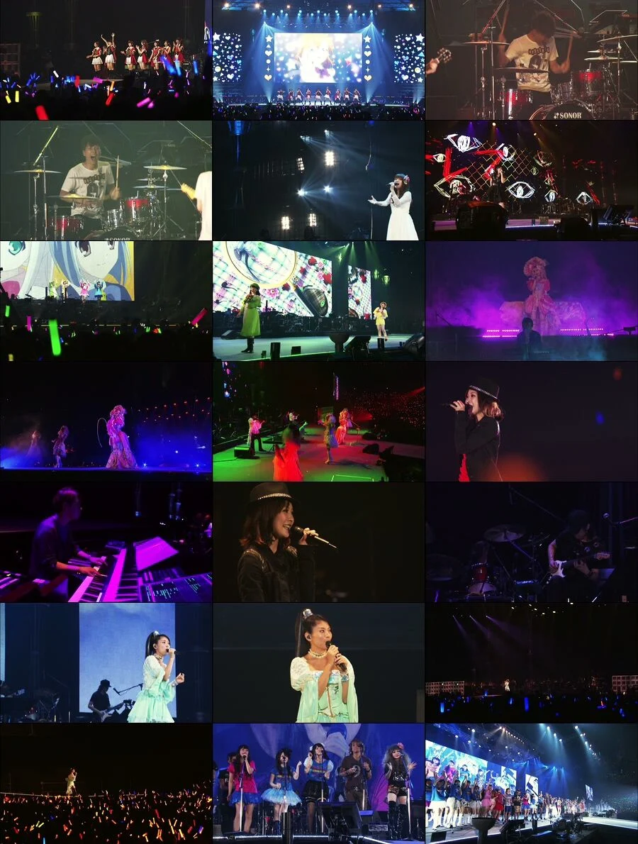 图片[3]-夏日漫音祭 Animelo Summer Live 2013 -FLAG NINE《MKV 76.7G》-蓝光演唱会资源网