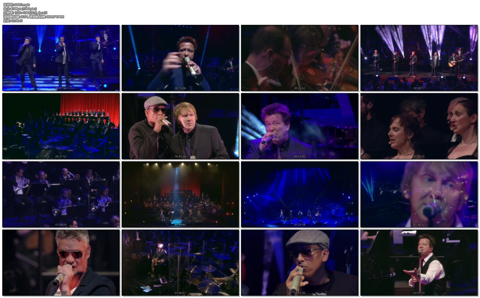 图片[3]-Die Prinzen – Eine Nacht In Der Oper 2015《BDMV 36.9G》-蓝光演唱会资源网