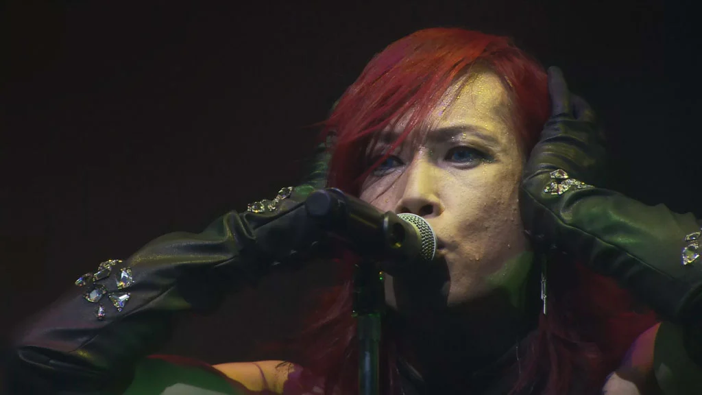 图片[7]-PIERROT X DIR EN GREY – ANDROGYNOS 2017 [BDISO 3BD 100GB]-蓝光演唱会资源网