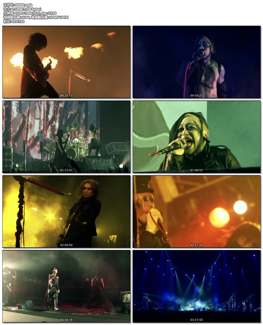 图片[4]-Arcade Fire Coachella Music Festival 2011 1080i《HDTV TS 15.1G》-蓝光演唱会资源网