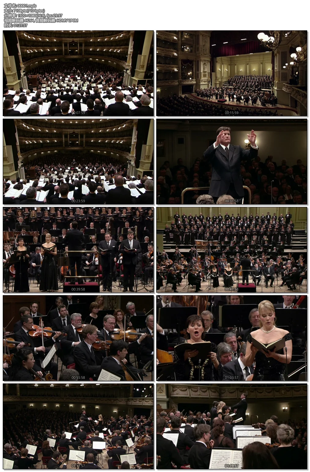 图片[5]-贝多芬 D大调庄严弥撒 Beethoven Missa Solemnis in D Major 2010《ISO 18.2G》-蓝光演唱会资源网