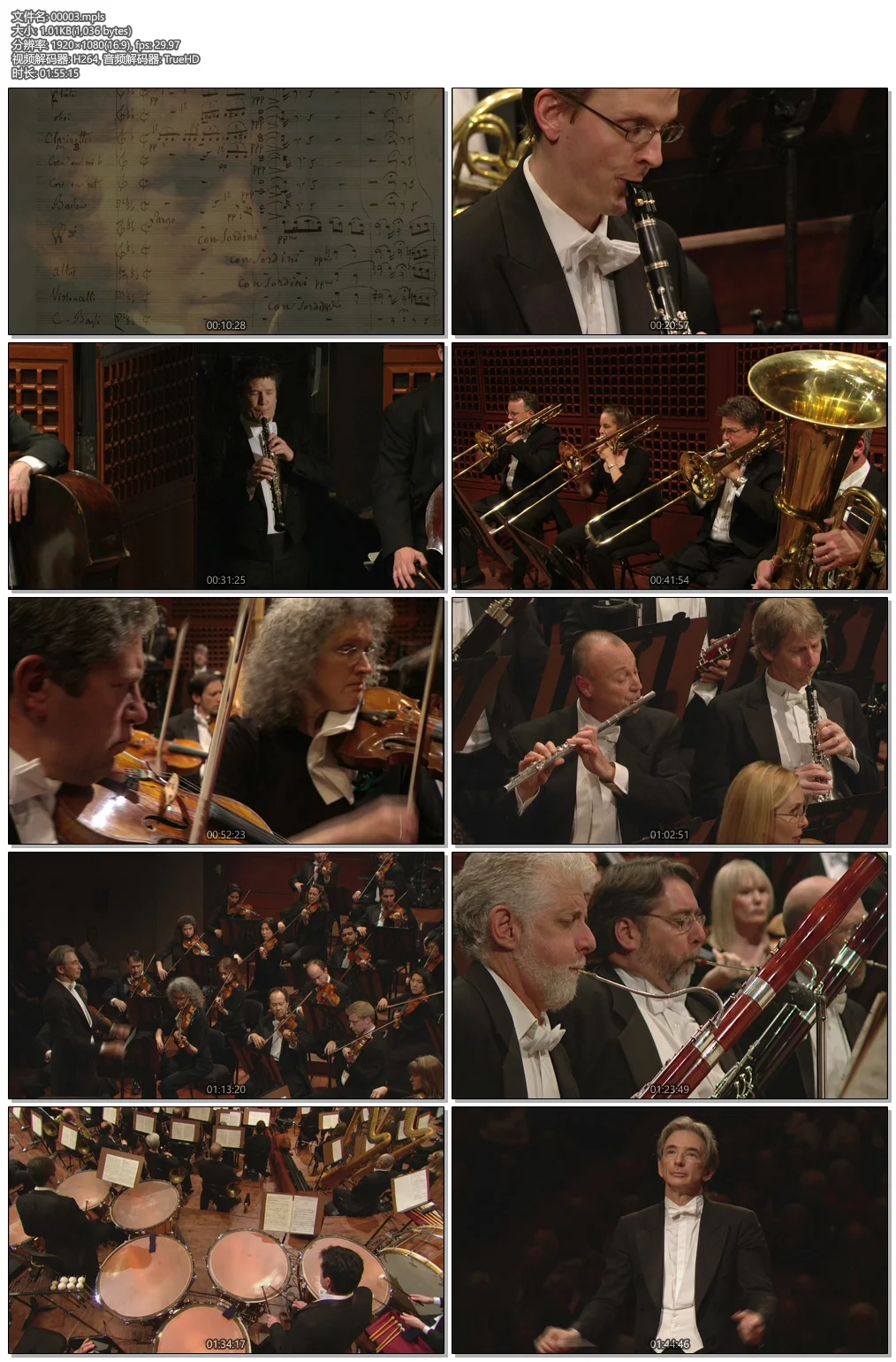 图片[5]-柏辽兹 幻想交响曲 2009 Keeping Score-Berlioz: Symphonie Fantastique《BDMV 32.86G》-蓝光演唱会资源网