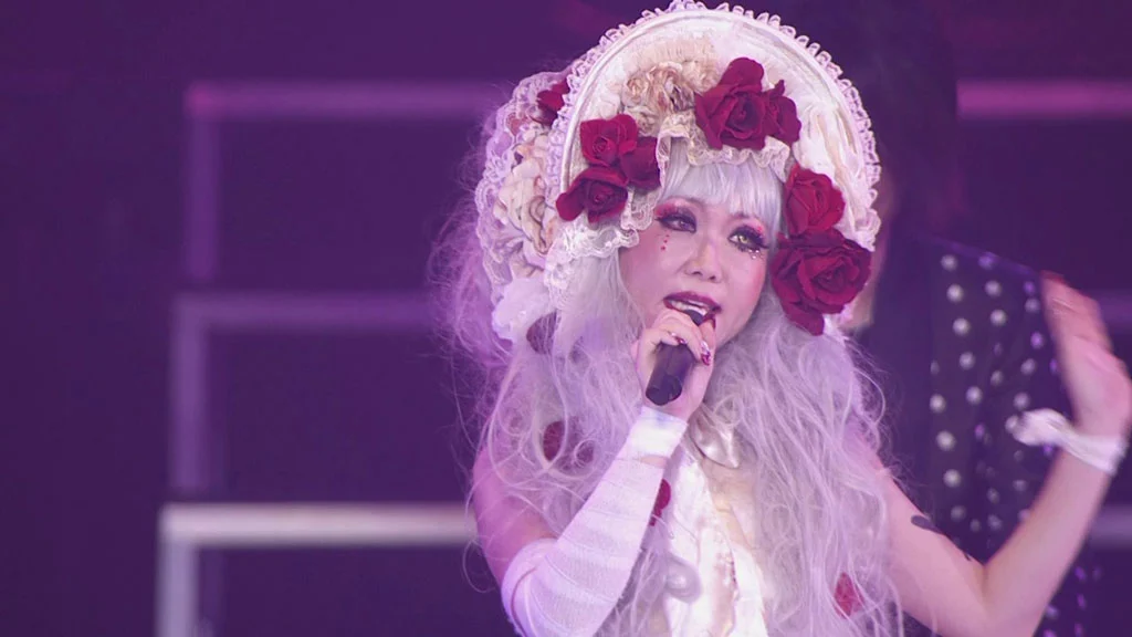 图片[3]-动画旋律的夏季演唱会 Animelo Summer Live 2012 -INFINITY- 8.25 Disc 2《ISO Disc2 39.26G》-蓝光演唱会资源网