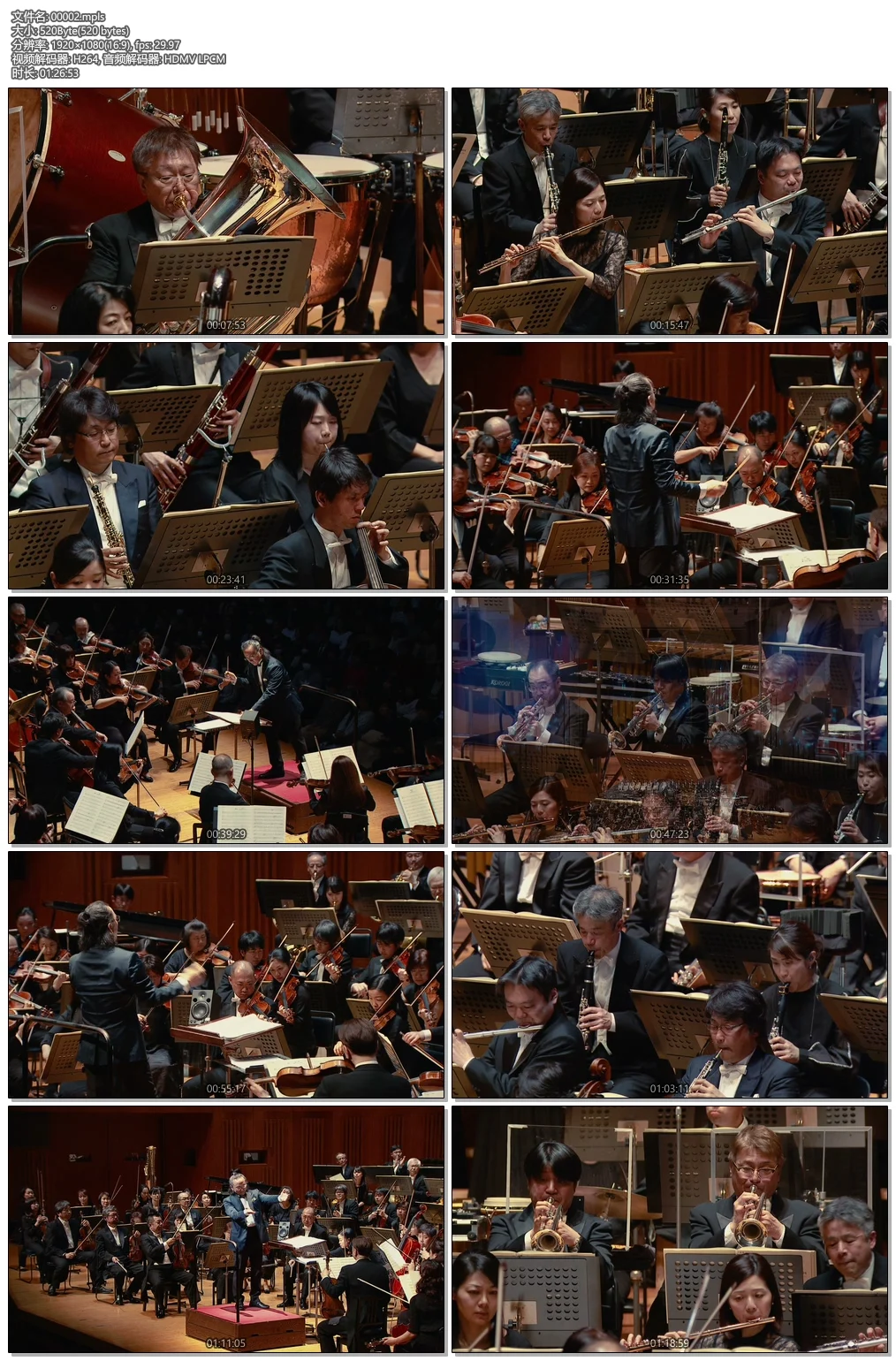 图片[6]-动画旋律的夏季演唱会 Animelo Summer Live 2012 -INFINITY- 8.25 Disc 2《ISO Disc2 39.26G》-蓝光演唱会资源网