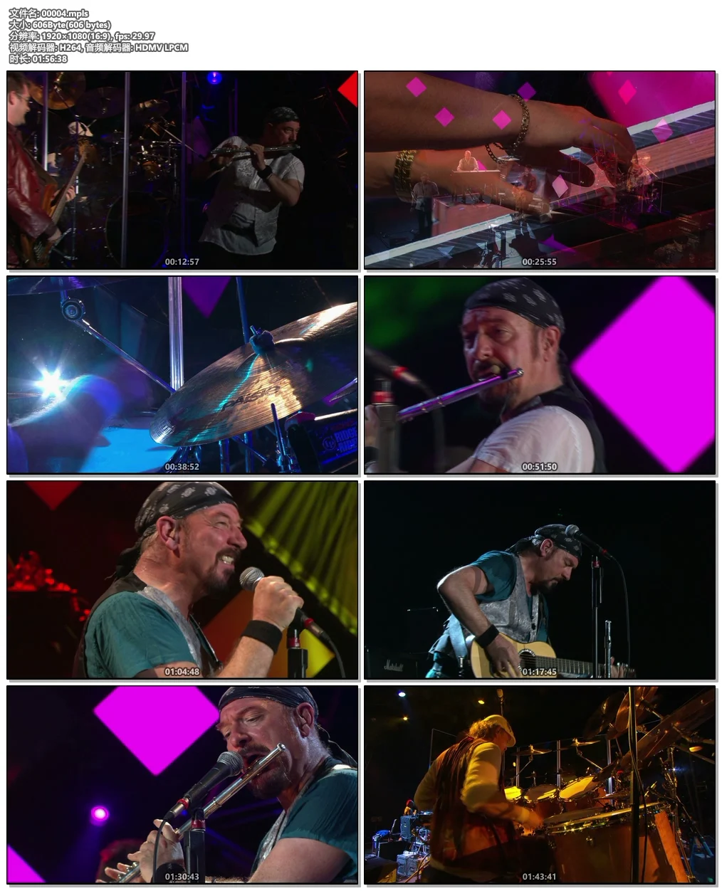 图片[6]-Jethro Tull – Live at Montreux 2003《BDMV 23.2G》-蓝光演唱会资源网