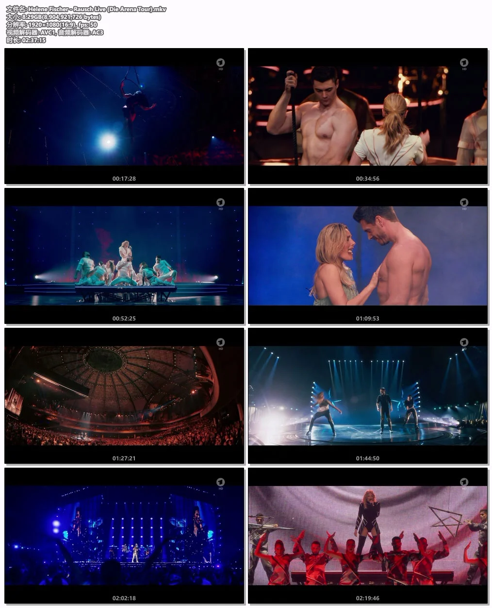 图片[2]-海伦·菲舍尔 Helene Fischer – Farbenspiel 2013 [33.53GB]-蓝光演唱会资源网
