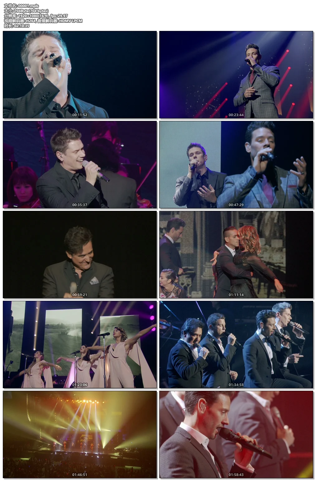 图片[6]-美声男伶 IL Divo – Encore 2014 [BDMV 20.7GB]-蓝光演唱会资源网