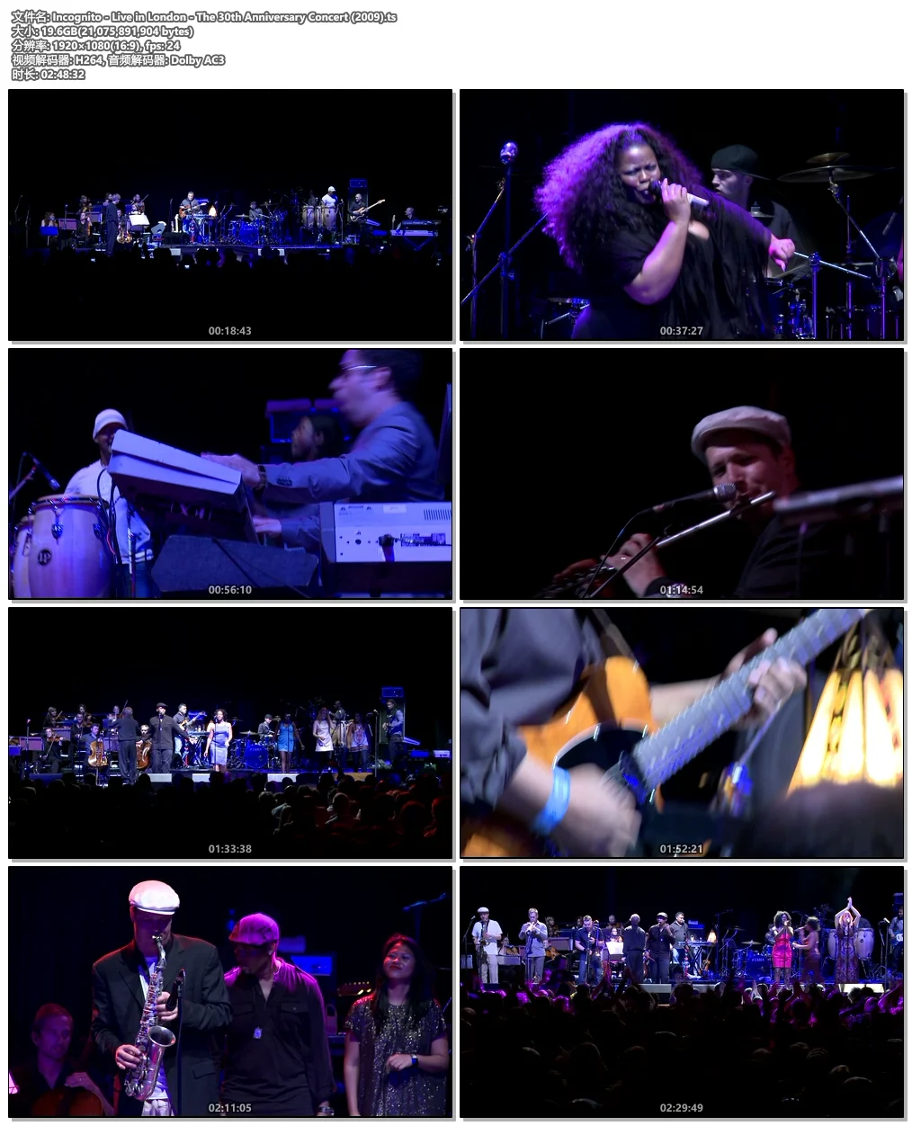 图片[4]-Incognito – Live in London – The 30th Anniversary Concert 2009《HDTV TS 19.6G》-蓝光演唱会资源网
