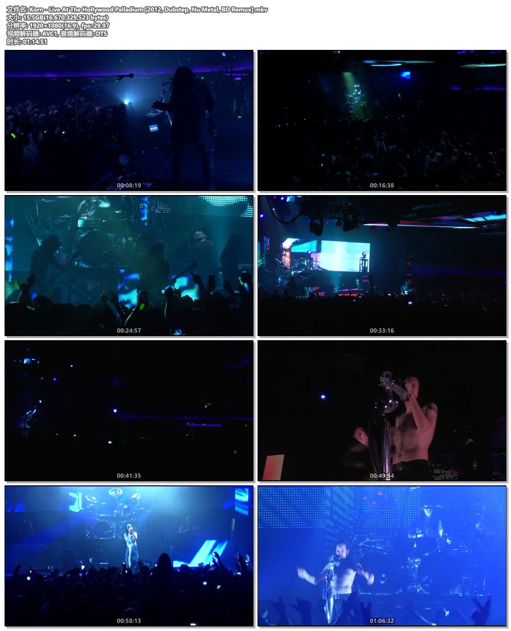 图片[4]-Korn – Live At The Hollywood Palladium 2012《Remux MKV 15.5G》-蓝光演唱会资源网