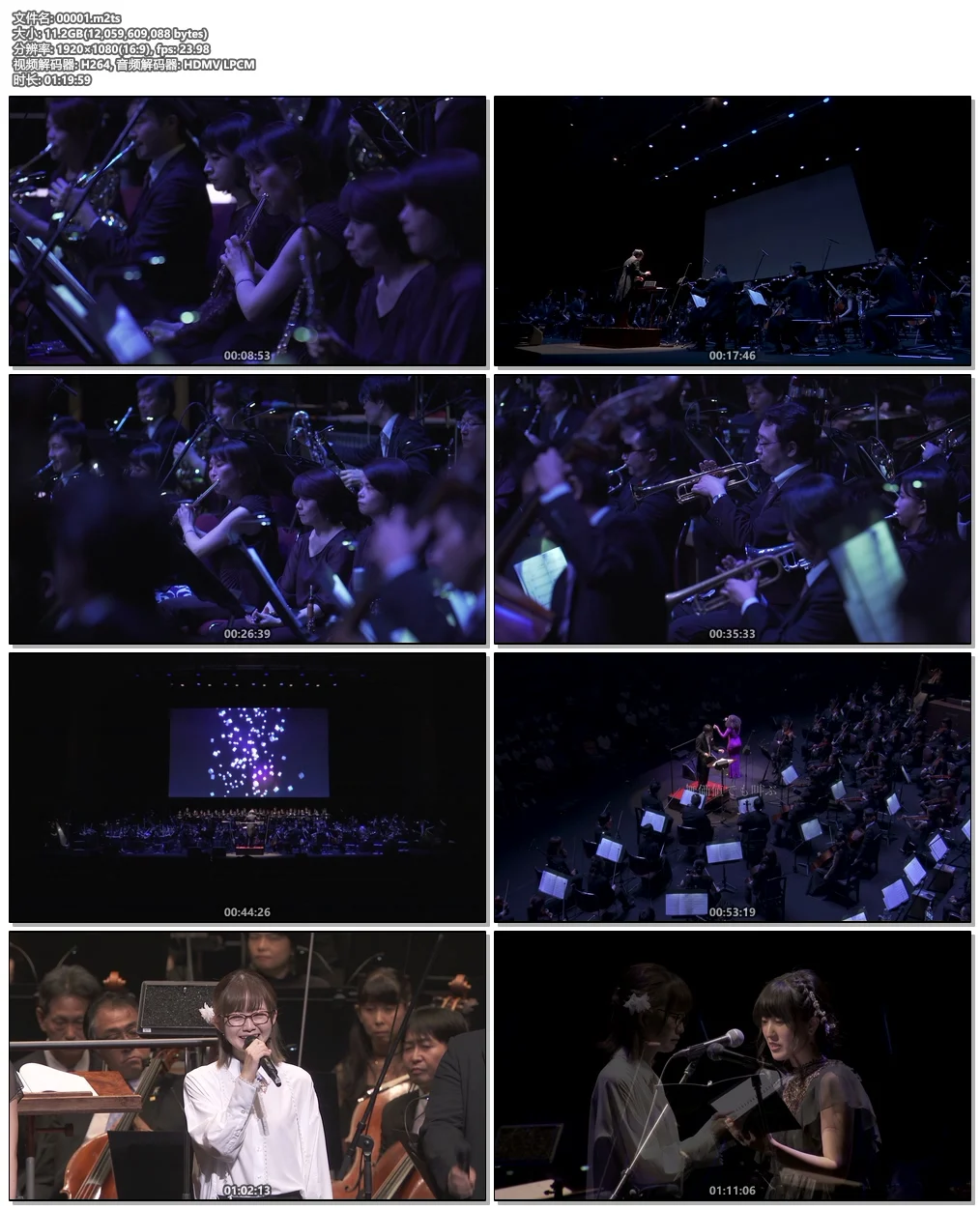 图片[5]-尼尔音乐会：人偶们的记忆 NieR Music Concert The Memory of Puppets 2017 [BDMV 43.9GB]-蓝光演唱会资源网
