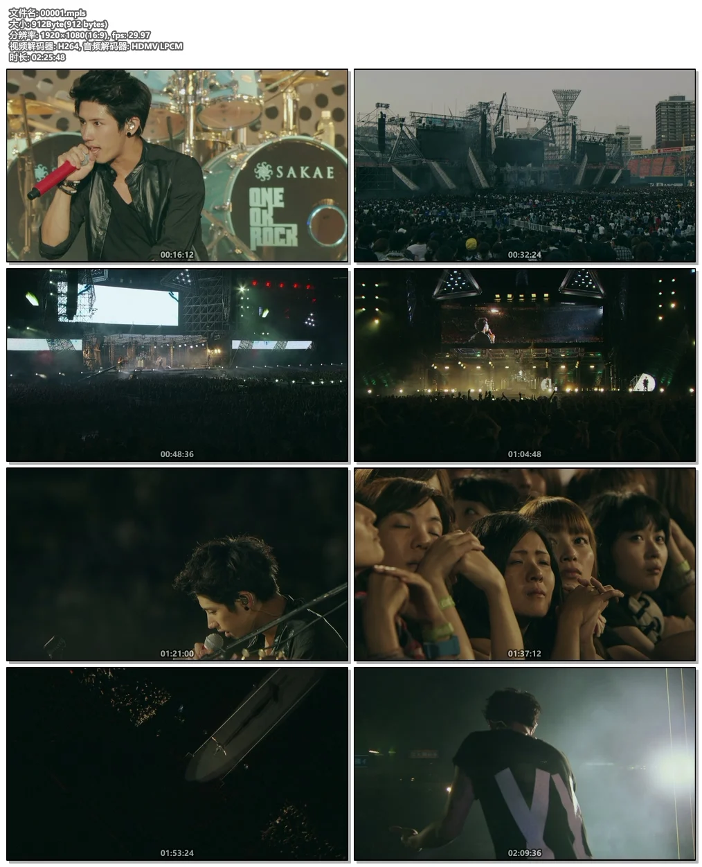 图片[6]-单向乐队 – 这就是我们 音乐纪录片 One Direction – This Is Us 2013《BDISO 39.6G》-蓝光演唱会资源网