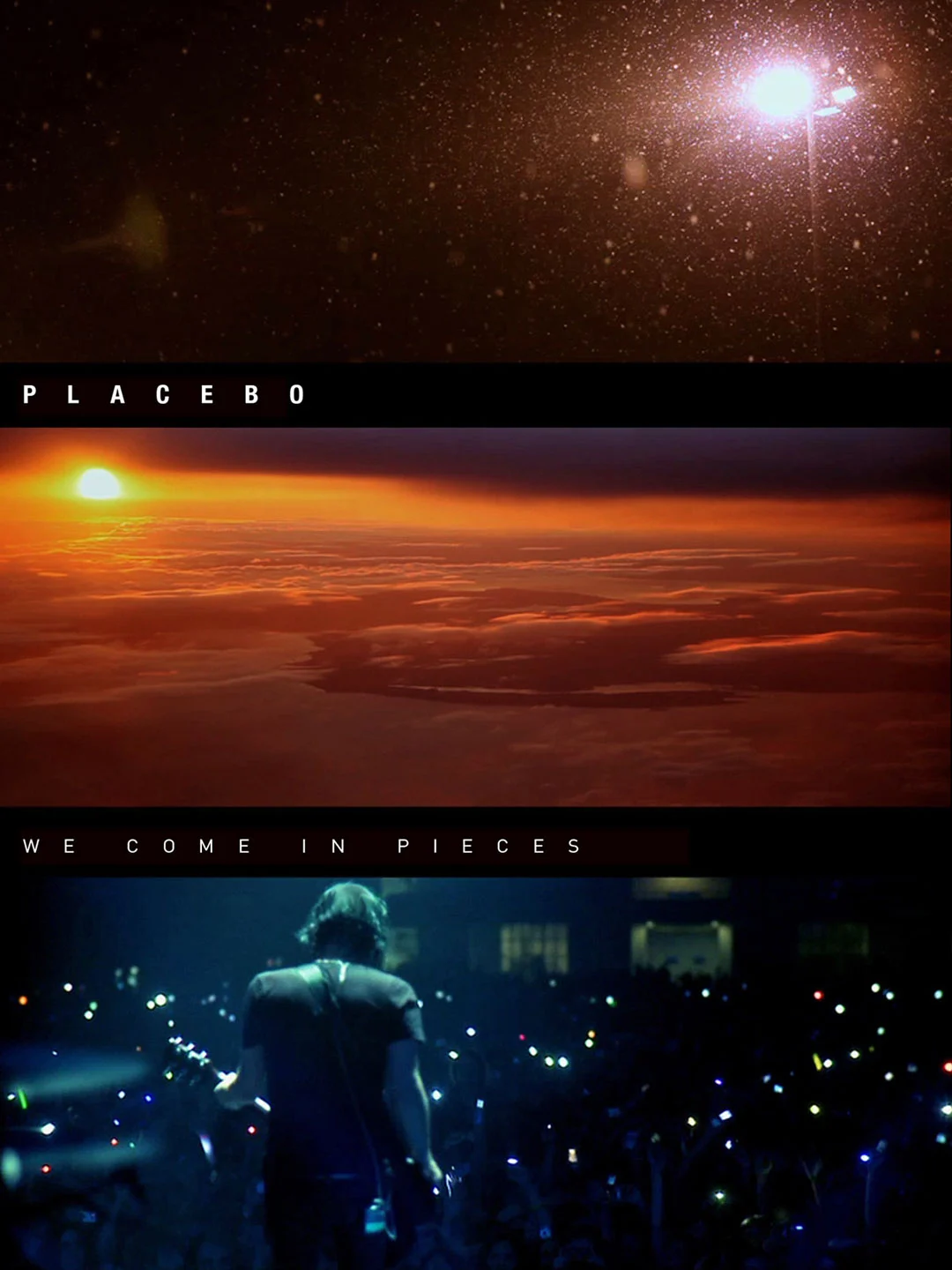 Plastic Tree – 花燃えて、亡霊の涙、天幕に堕ちる。2006 [DVD ISO 7.85GB]-蓝光演唱会资源网