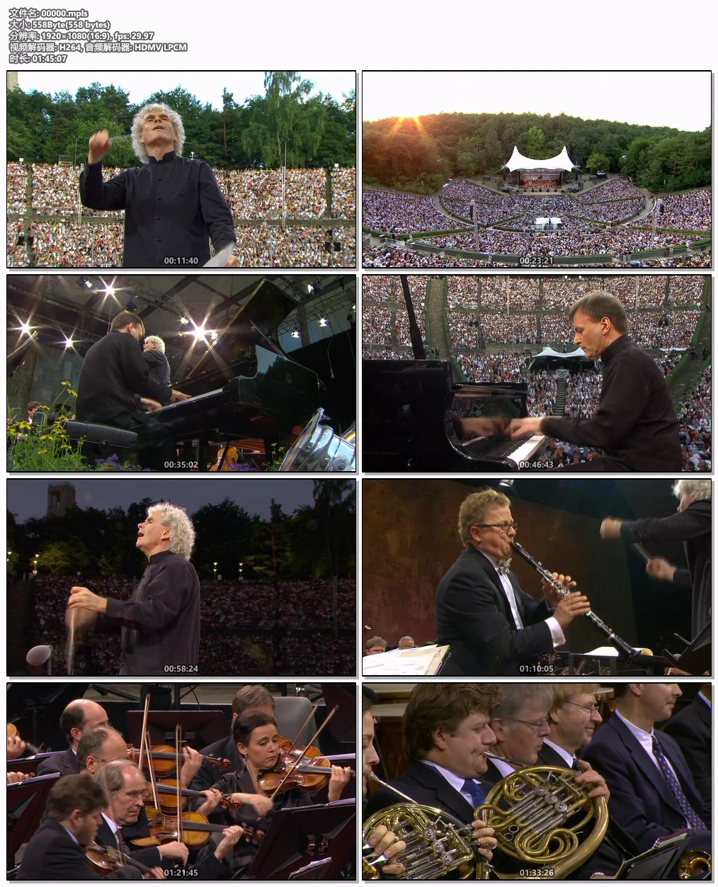 图片[6]-Waldbuehne 2007 – Rhapsodies (Sir Simon Rattle, Stephen Hough, Wenzel Fuchs) 2007 [BDMV 22GB]-蓝光演唱会资源网