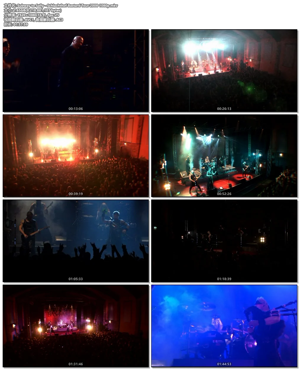 图片[4]-Subway to Sally – Schlachthof Bastard Tour 2008《BDrip MKV 7.65G》-蓝光演唱会资源网