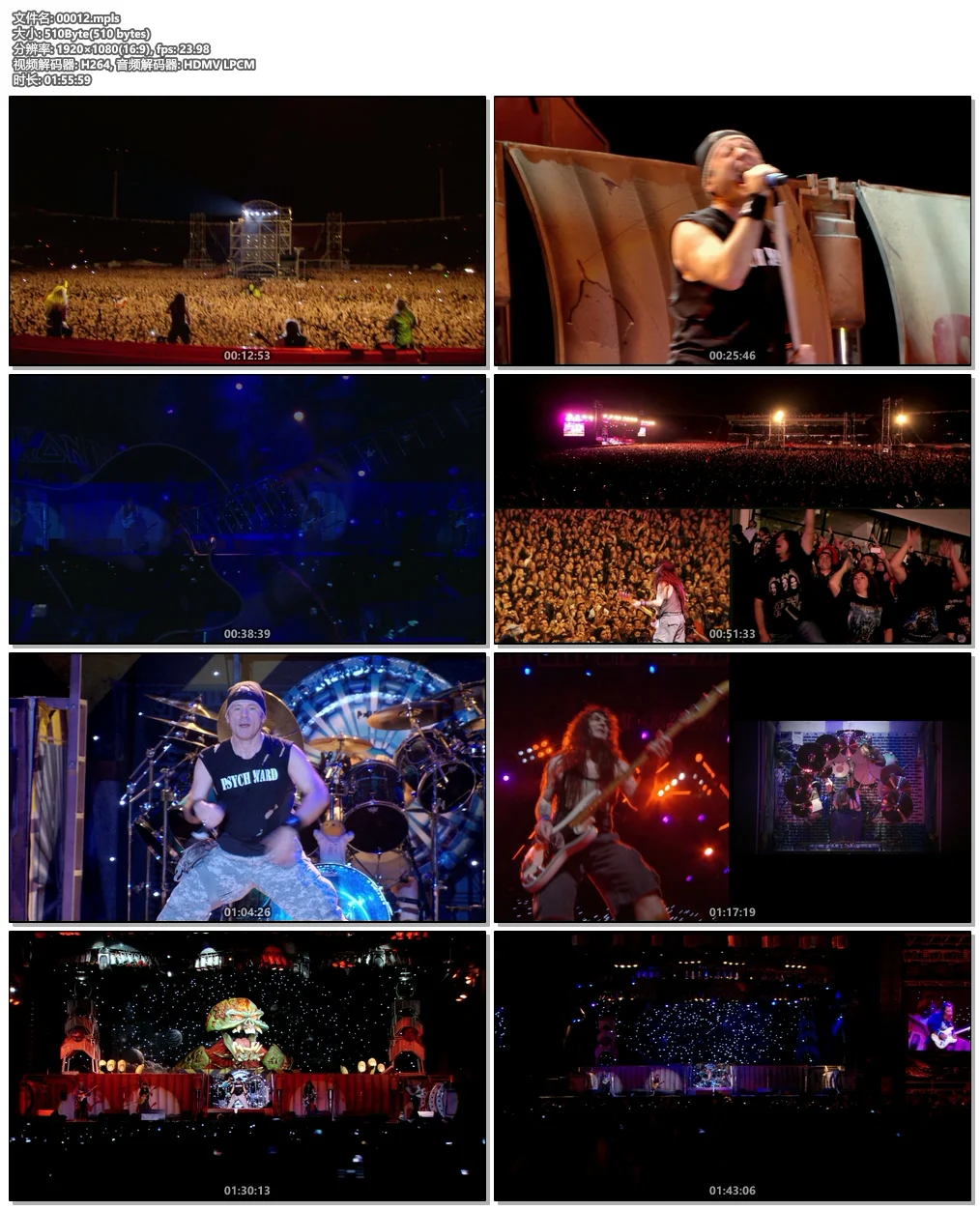 图片[6]-铁娘子乐队 Iron Maiden – En Vivo! 2012 1080p Blu-ray AVC DTS-HD MA 5.1《BDMV 46.1G》-蓝光演唱会资源网