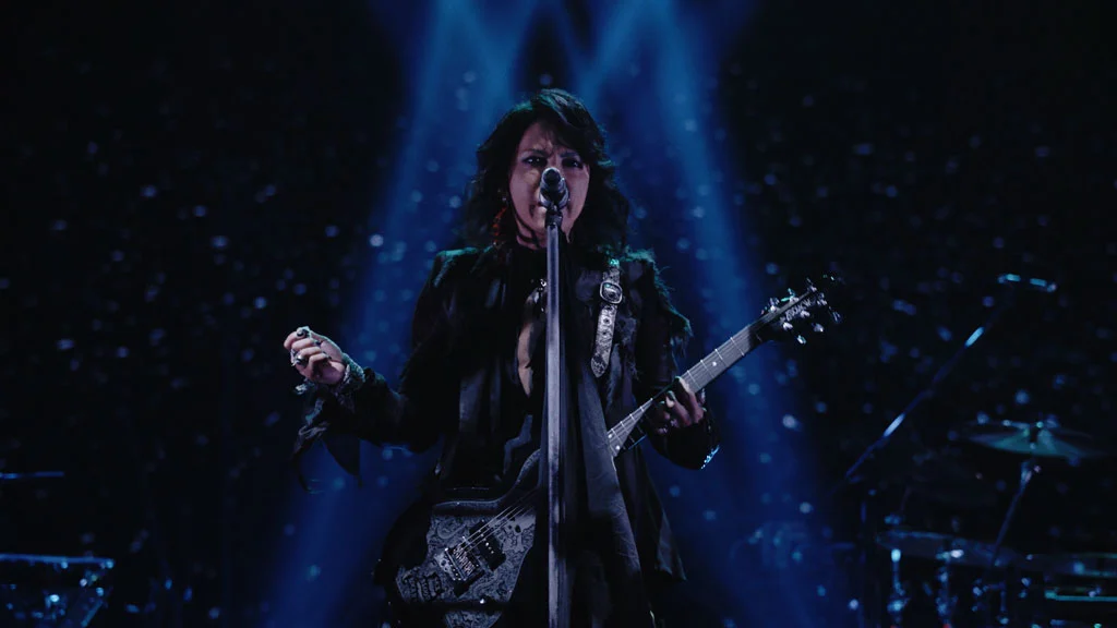 图片[4]-瓦斯科·罗西 Vasco Rossi – Live Kom 2011 The complete edition《BDMV 45GB》-蓝光演唱会资源网
