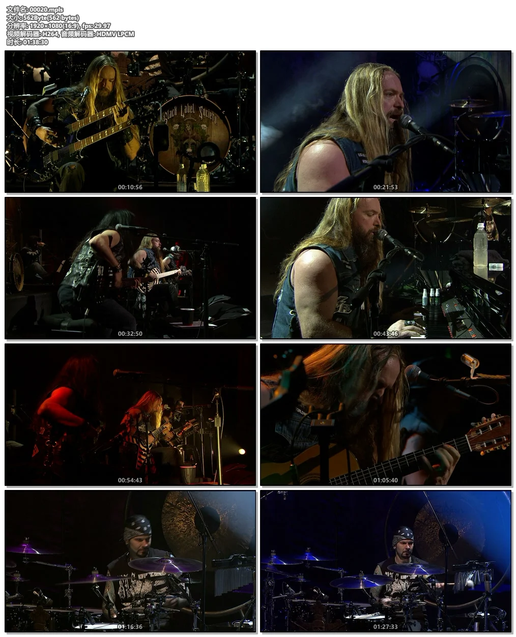 图片[6]-Zakk Wylde and Black Label Society – Unblackened 2013《BDMV 31.6G》-蓝光演唱会资源网