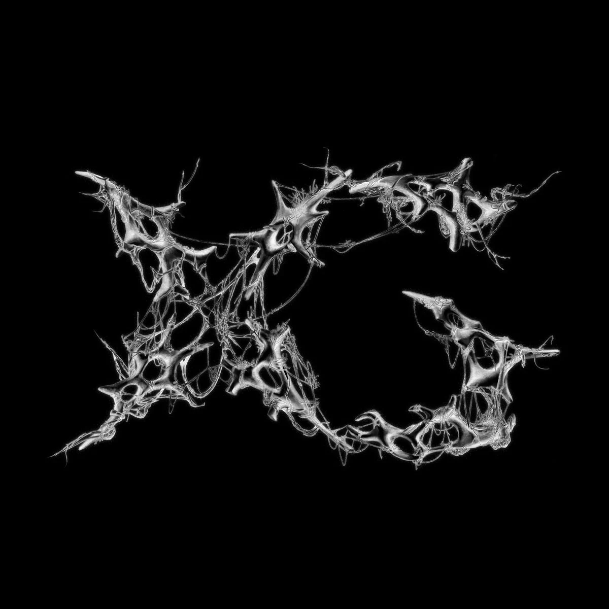 XG – AW 2024 [24Bit/48kHz] [Hi-Res Flac 413MB]-蓝光演唱会资源网