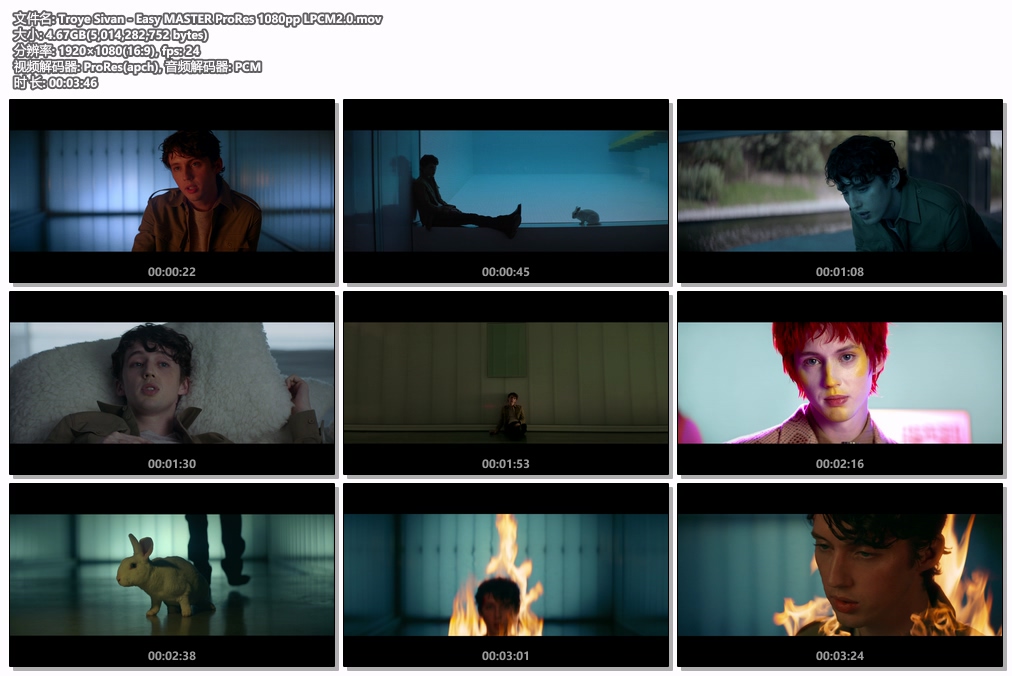 图片[2]-Troye Sivan – Easy 1080P [ProRes MOV 4.67GB]-蓝光演唱会资源网