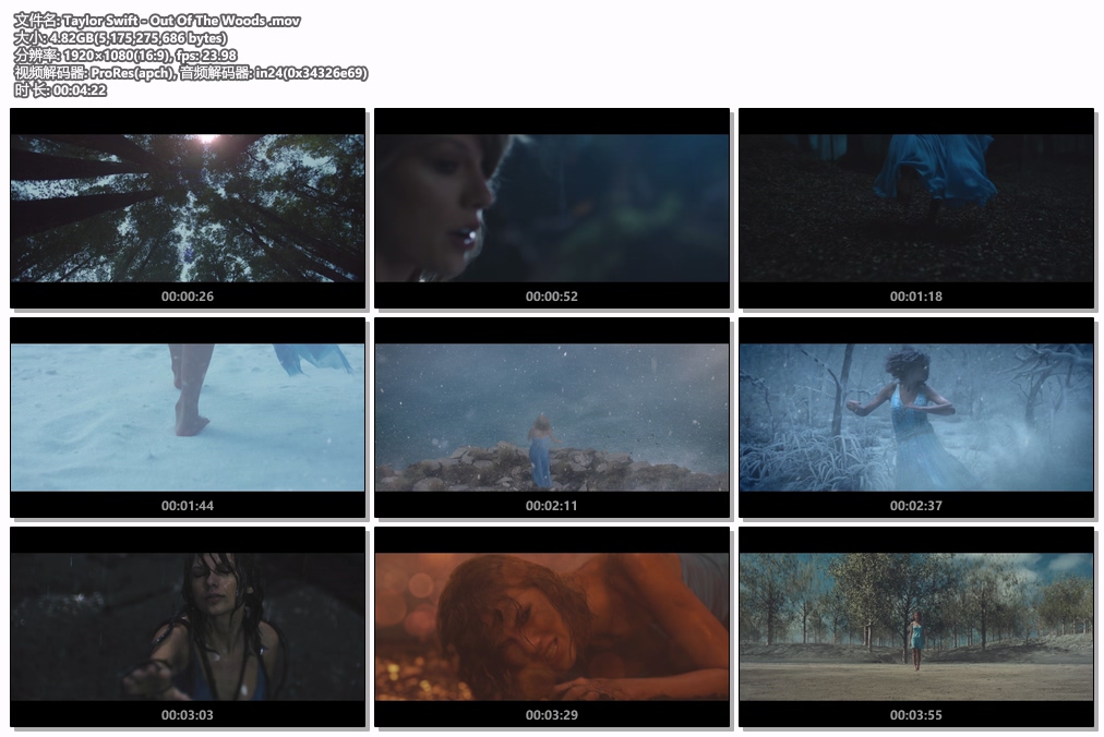 图片[2]-泰勒·斯威夫特 Taylor Swift – Out Of The Woods 1080P [ProRes MOV 4.82GB]-蓝光演唱会资源网