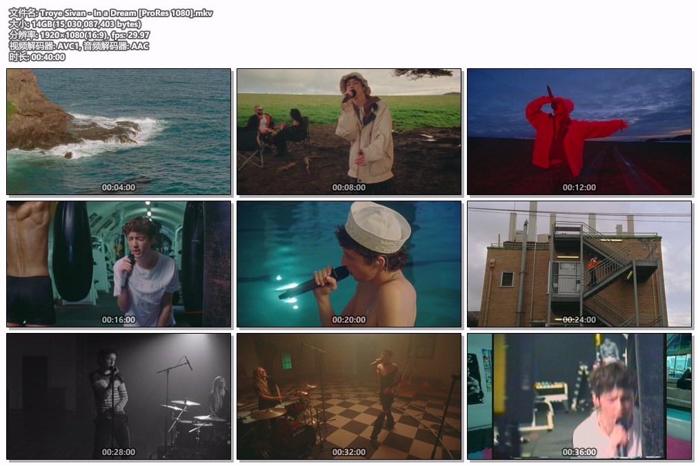 图片[2]-Troye Sivan – In a Dream 1080P [ProRes MOV 14GB]-蓝光演唱会资源网