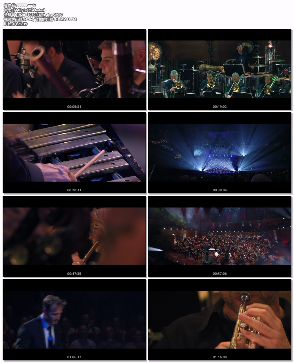 图片[6]-丹麦国家交响乐团 和克里斯蒂安·舒曼 Danish National Orchestra – Raiders of the Symphony 2024 [BDMV 22GB]-蓝光演唱会资源网