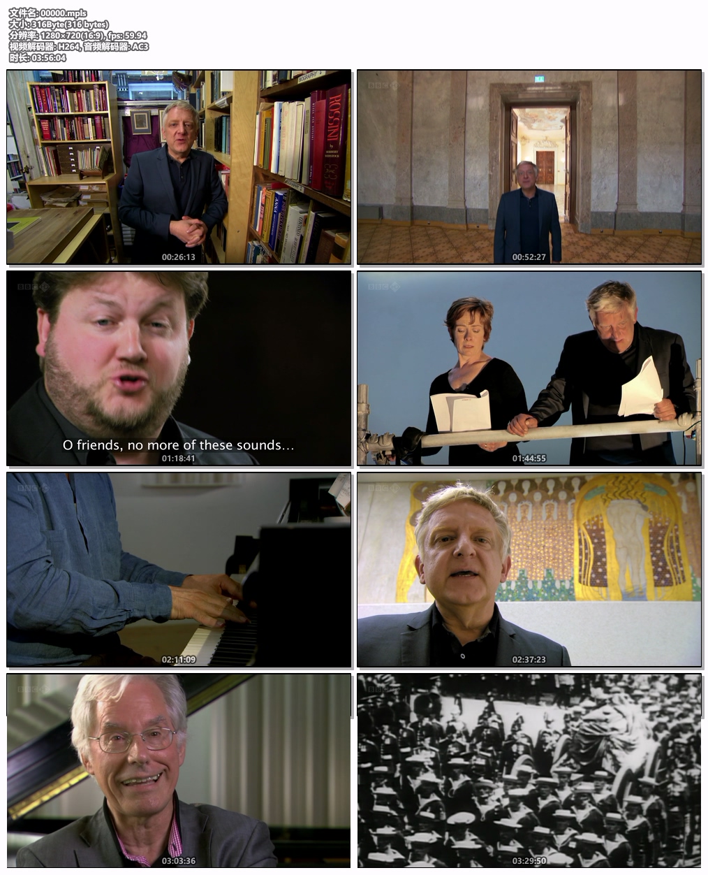 图片[6]-交响乐历史与伟大音乐家 Symphony & Great Composers 2011 720P [BDMV 21.9GB]-蓝光演唱会资源网