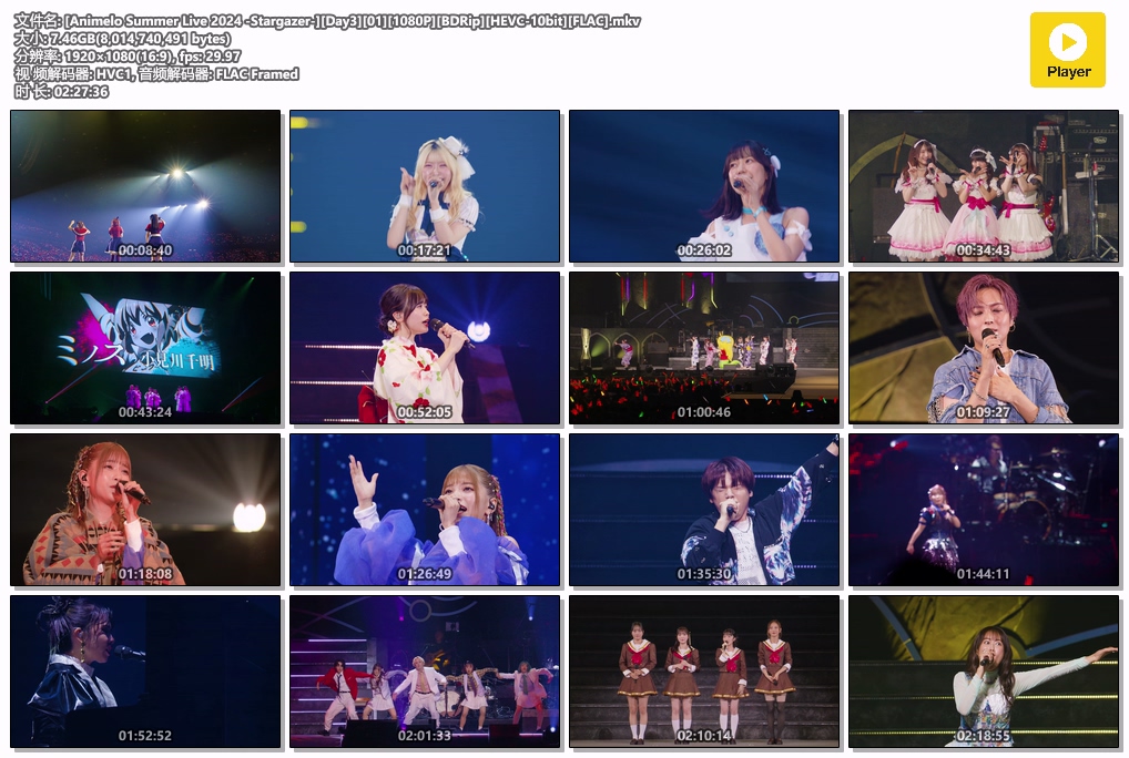 图片[7]-夏日漫音祭 Animelo Summer Live 2024 -Stargazer- [BDrip MKV 57.1GB]-蓝光演唱会资源网
