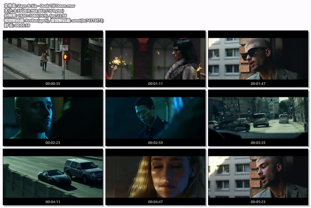 图片[2]-Zayn & Sia – Dusk Till Dawn 1080P [ProRes MOV 8.35GB]-蓝光演唱会资源网