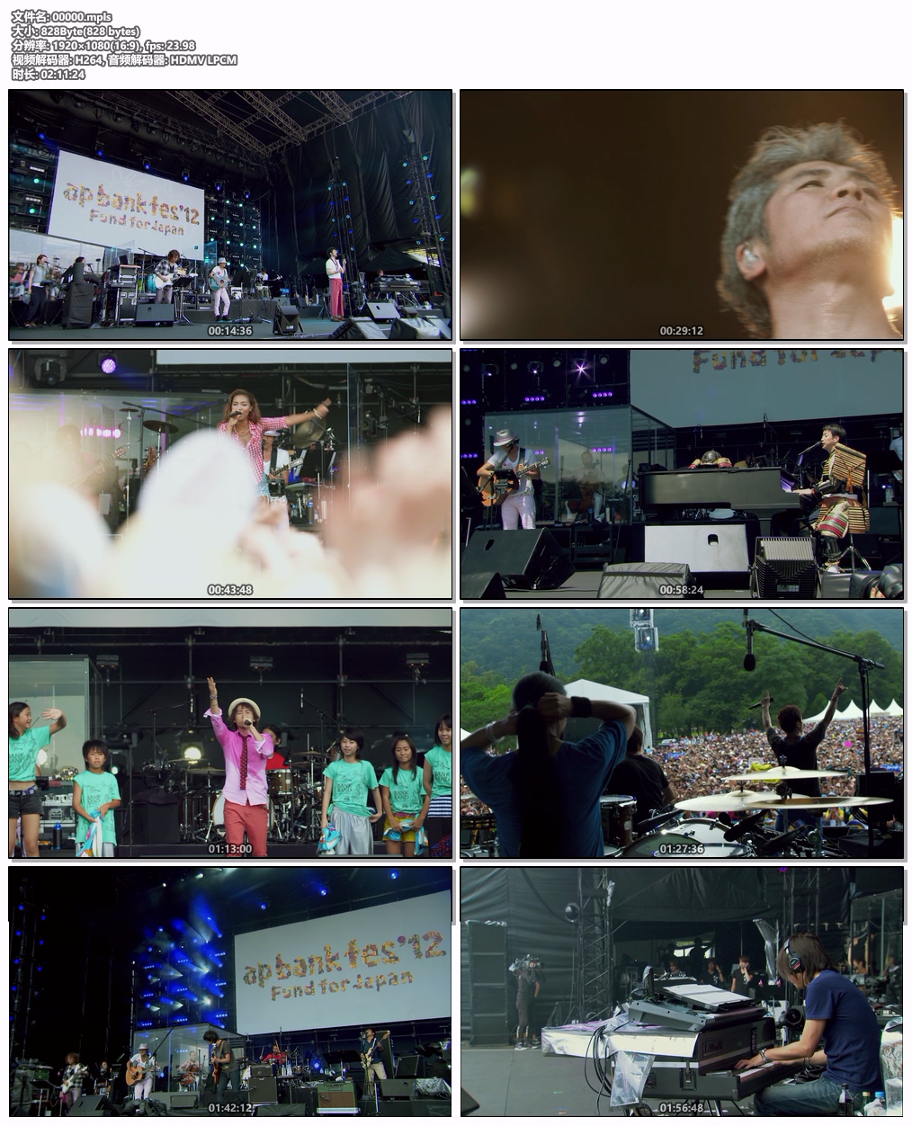 图片[7]-ap bank fes – ap bank fes \’12 Fund for Japan 2013 [BDMV 3BD 95.4GB]-蓝光演唱会资源网