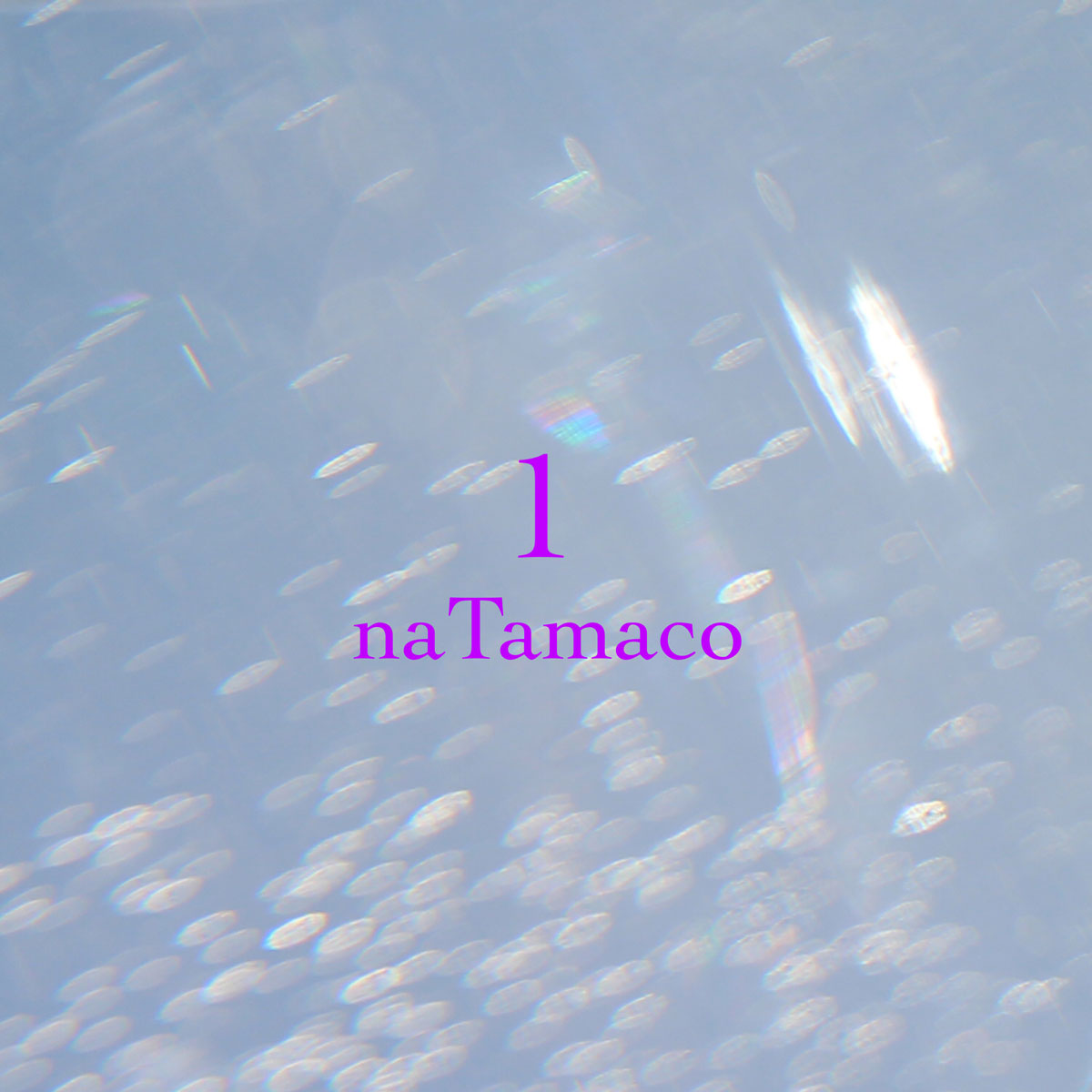 naTamaco – naTamaco the 1st [2025.06.03] [24Bit/48kHz] [Hi-Res Flac 337MB]-蓝光演唱会资源网