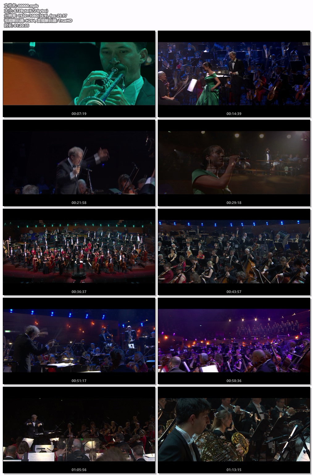 图片[7]-Hollywood Gala I-II – Danish National Symphony Orchestra [2022-2025, 2xBlu-ray] [BDMV 2BD 45.9GB]-蓝光演唱会资源网