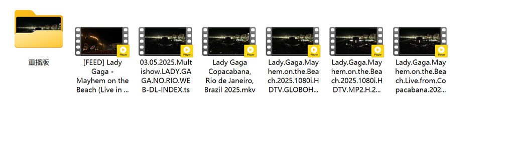 图片[6]-Lady Gaga – copacabana 2025 [巴西版本 多版本] [HDTV TS 63.7GB]-蓝光演唱会资源网