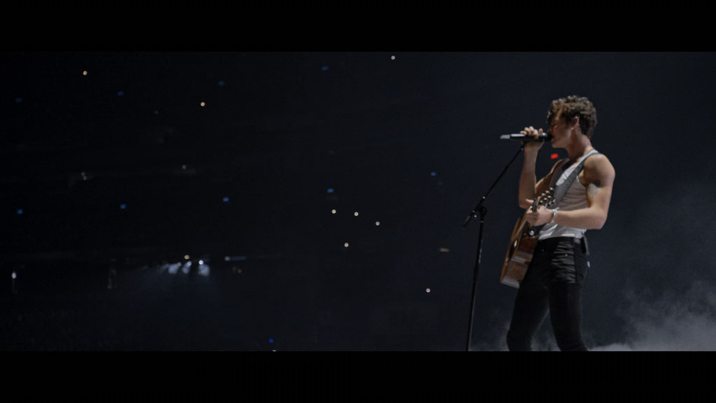 图片[3]-肖恩·门德斯：巡回演唱会纪实 Shawn Mendes Live in Concert 2020 [WEB-DL MKV 10.3GB]-蓝光演唱会资源网