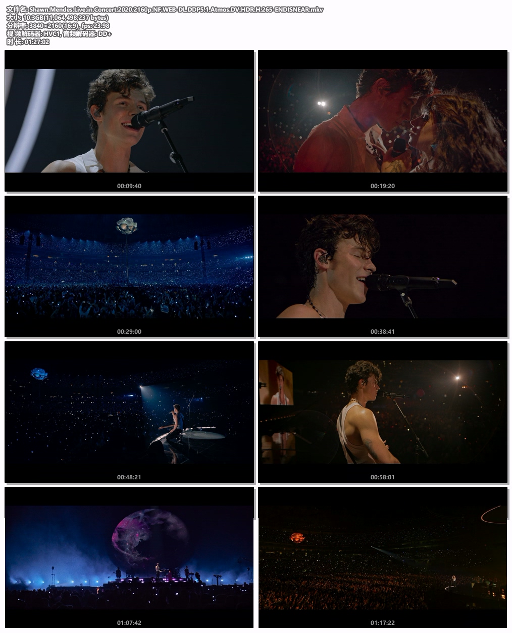 图片[5]-肖恩·门德斯：巡回演唱会纪实 Shawn Mendes Live in Concert 2020 [WEB-DL MKV 10.3GB]-蓝光演唱会资源网