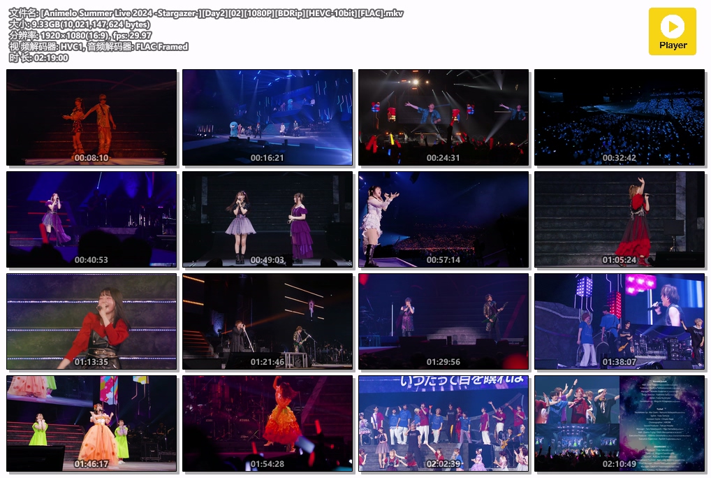 图片[6]-夏日漫音祭 Animelo Summer Live 2024 -Stargazer- [BDrip MKV 57.1GB]-蓝光演唱会资源网